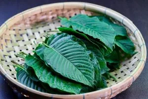 Kratom Ecommerce Sales: State Laws, Compliance & Payment Solutions